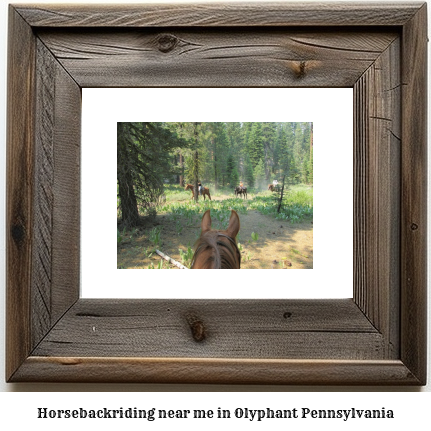 horseback riding near me in Olyphant, Pennsylvania